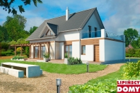 Tokio III (DCP190b). Obraz #4